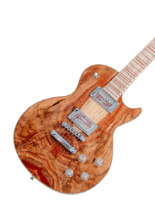 guitar-shop-electric-guitar-cta-img-219x